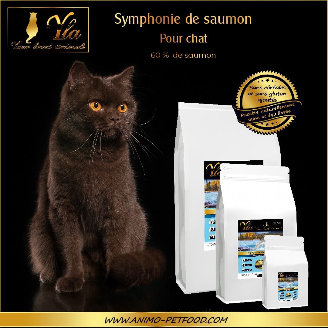 nourriture-sans-cereale-hypoallergeniques-chat-au-saumon